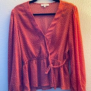 Long Sleeve, Plunging V neck Top